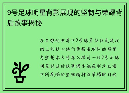 9号足球明星背影展现的坚韧与荣耀背后故事揭秘