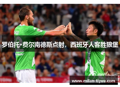 罗伯托·费尔南德斯点射，西班牙人客胜狼堡